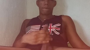 Latino solitario Paja mañanera