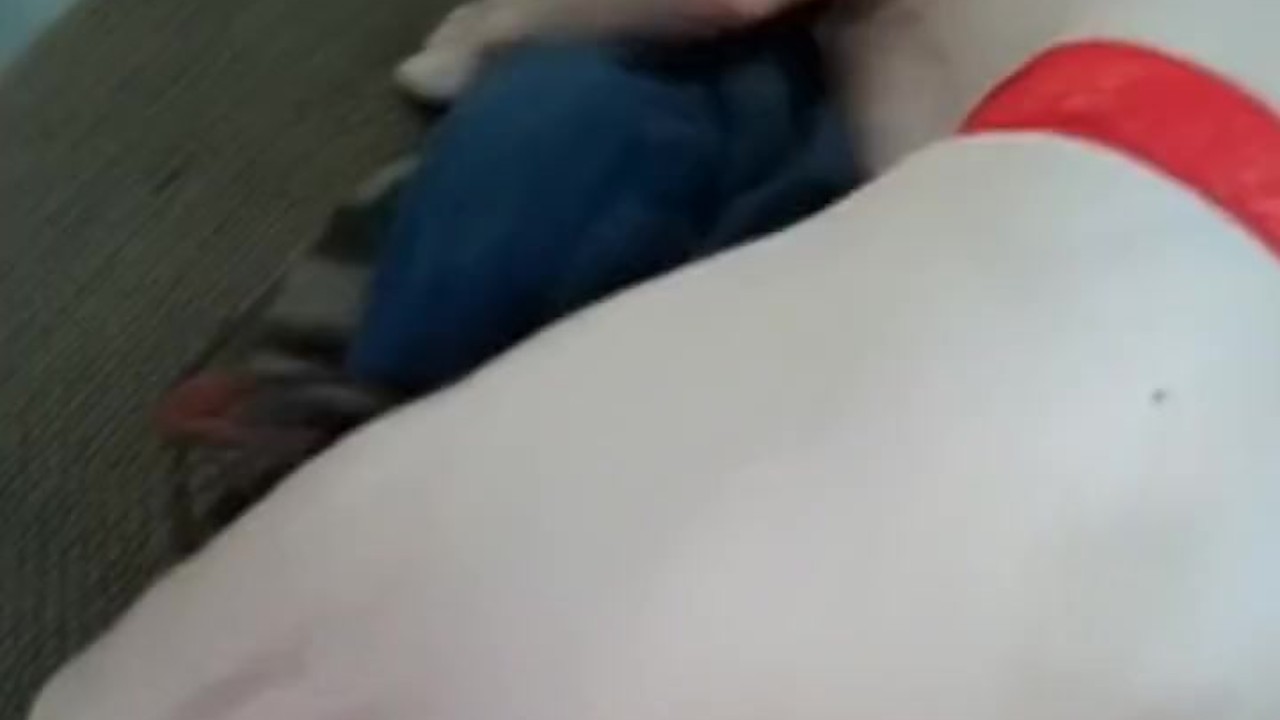 Amateur Hot Wife Likes Getting Used For Swinger Sex - Mature