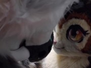 This Big Kitty Fucks His Wife Before Shower - Maho & Xytan