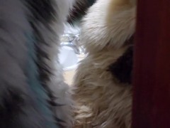 This Big Kitty Fucks His Wife Before Shower - Maho & Xytan