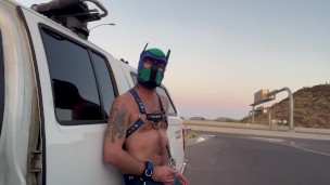 Pup highway pissing