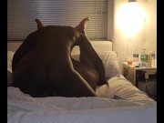 Pounding Pussy In Vegas 16/16