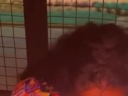 Maintenance man fucks neighbor