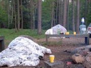 Fucking for joint 11/16