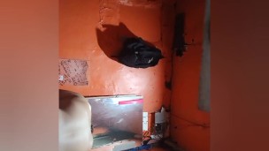 Erwin needs my sex service again.