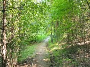 Extended Materials with Black Lynn - Blowjob, Facefuck & Throat Cum (that video from the phone) 1/16