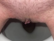 pussy urine 2/16