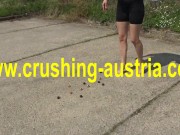 food crush outdoor 1/16