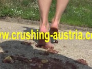 food crush outdoor 12/16