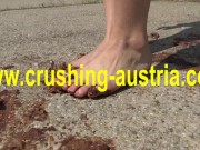 food crush outdoor 14/16