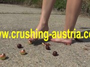 food crush outdoor 3/16