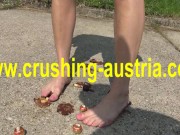 food crush outdoor 5/16