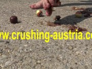 food crush outdoor 7/16