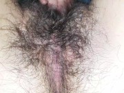 Rubbing the hairy pussy ASMR 3/16