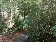 Petite salope tatouée se laisse prendre comme une chienne dans la forêt 11/16