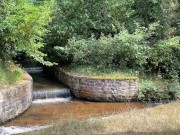 Petite salope tatouée se laisse prendre comme une chienne dans la forêt 12/16