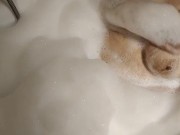 Polskie Porno Lubię spuszczać się do ust przyrodniej Belli mruczy jak kotka 1/16