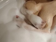 Polskie Porno Lubię spuszczać się do ust przyrodniej Belli mruczy jak kotka 2/16