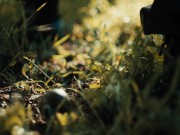 Digital Playgound - Machine Gunners - New Teaser 11/16