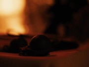 Digital Playgound - Machine Gunners - New Teaser 12/16