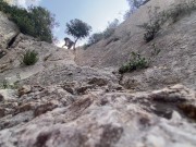 Indiana Stoned and the cursed jewel 1/16