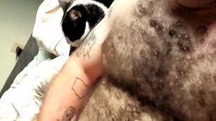 Hairy tattooed guy jerks off big cock and eats cum