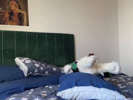 I hump my pillow and teddy bear until I cum hard