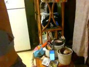 dj mollys pmv gooey glass animals 11/16