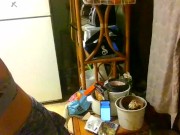 dj mollys pmv gooey glass animals 12/16