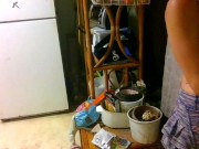 dj mollys pmv gooey glass animals 14/16