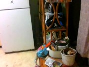 dj mollys pmv gooey glass animals 4/16