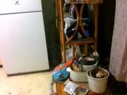 dj mollys pmv gooey glass animals 6/16