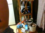 dj mollys pmv gooey glass animals 9/16