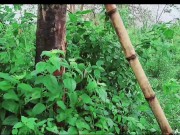 Pinay New Student Viral 2023 Umihi sa gubat muntik na makita ni manong 13/16