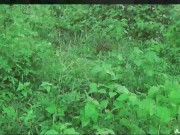 Pinay New Student Viral 2023 Umihi sa gubat muntik na makita ni manong 2/16