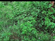 Pinay New Student Viral 2023 Umihi sa gubat muntik na makita ni manong 3/16