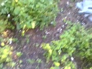 dolphinlover this  you/garden intro y missonsavehome is worthy 10/16