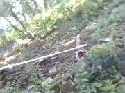 dolphinlover this  you/garden intro y missonsavehome is worthy 13/16