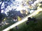 dolphinlover this  you/garden intro y missonsavehome is worthy 14/16