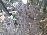 dolphinlover this  you/garden intro y missonsavehome is worthy 3/16