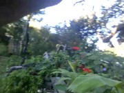 dolphinlover this  you/garden intro y missonsavehome is worthy 4/16