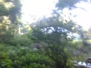 dolphinlover this  you/garden intro y missonsavehome is worthy 6/16