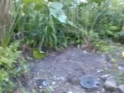 dolphinlover this  you/garden intro y missonsavehome is worthy 7/16