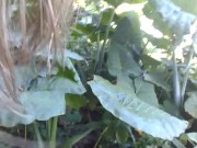 dolphinlover this  you/garden intro y missonsavehome is worthy