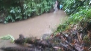 Public PEE on Waterfals Jungle trail