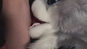 Furry close up Blowjob 4K
