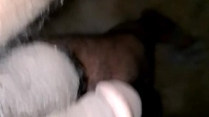 Handjobewithsop