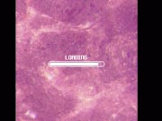 Surprising Daddy in the shower.. SHH!! 2/16