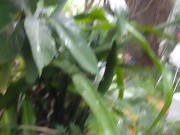 Got suspended well my account frozen on imlive 11/16