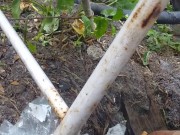 Got suspended well my account frozen on imlive 13/16